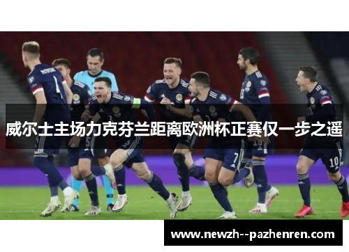 威尔士主场力克芬兰距离欧洲杯正赛仅一步之遥